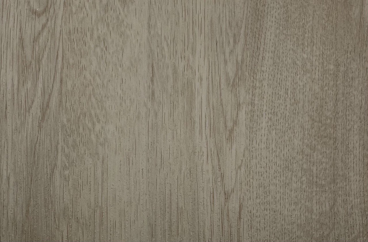 Дуб флоріда